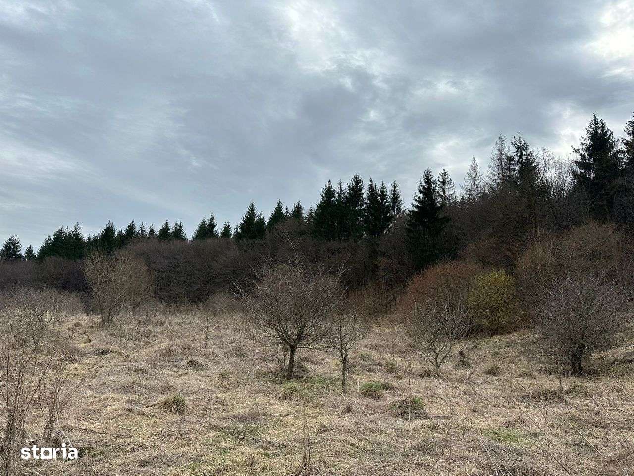 Parcele de teren SF Ion - urgent-4