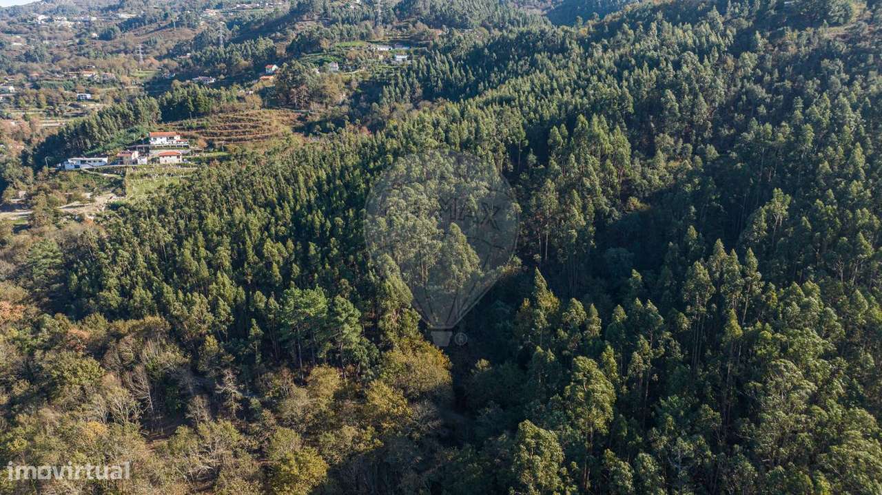 Terreno  para venda - Grande imagem: 3/12