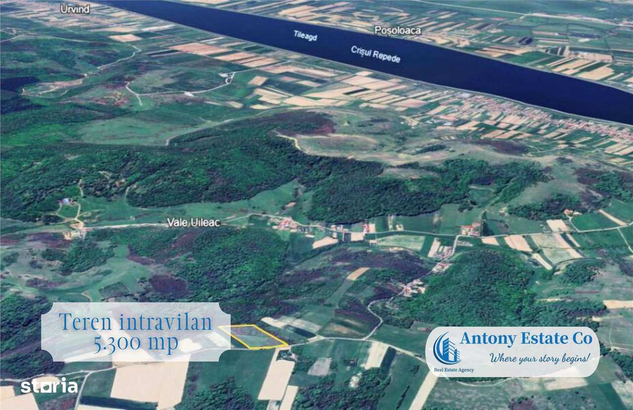 Teren extravilan, de vanzare, Uileacu de Cris, Bihor - Imagine principală: 2/4