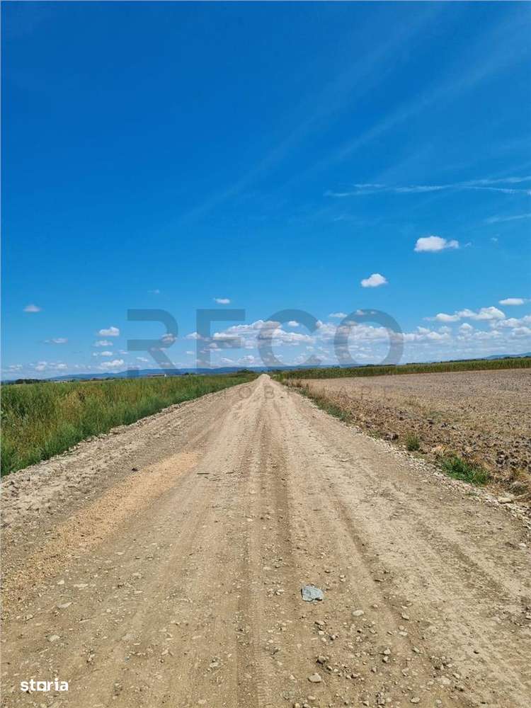 RECO Teren intravilan de vanzare Osorhei - Imagine principală: 2/3