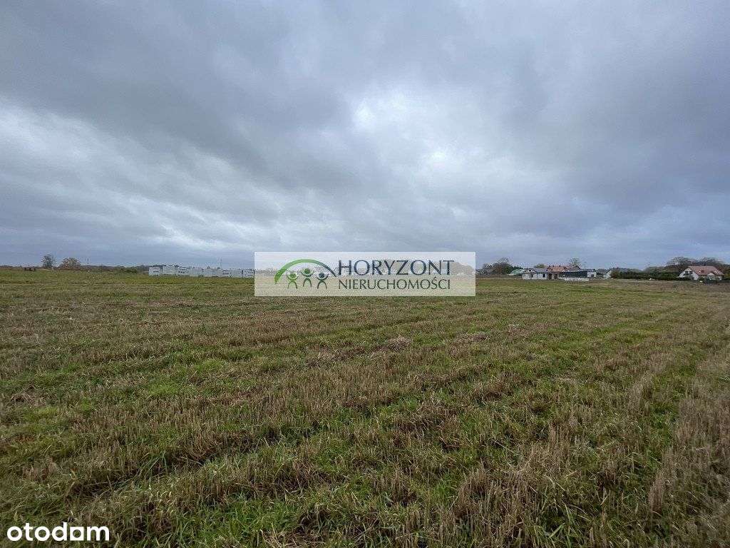 Tokary - działka budowlana - Pełny obrazek: 4/7