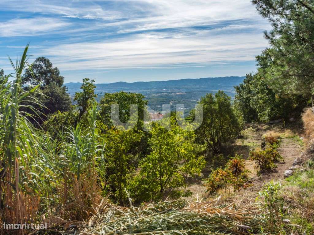 Terreno rústico para venda com viabilidade de construção - Grande imagem: 4/8