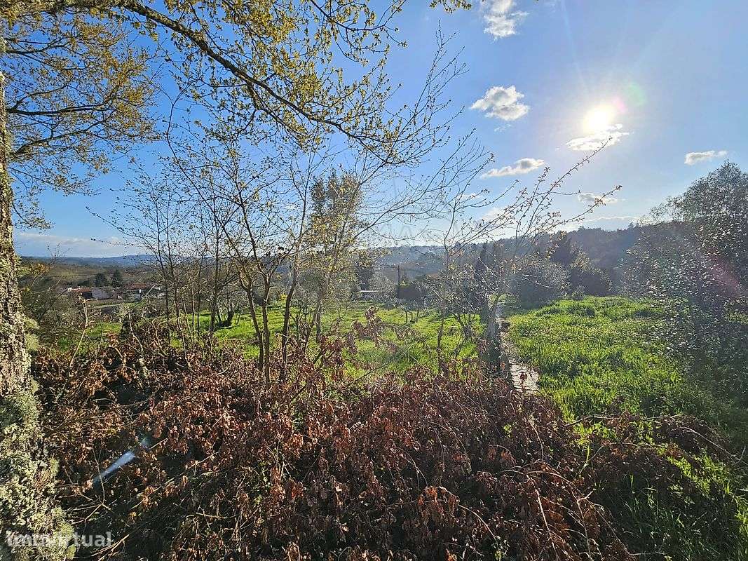 Terreno  para venda - Grande imagem: 5/6