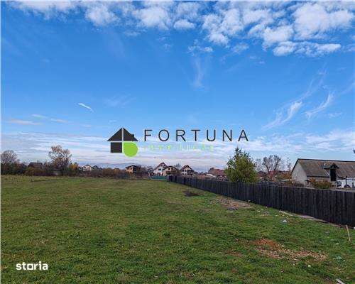 Teren intravilan cu utilitati Bod Sat, Comision 0%-5