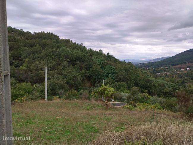 Moradia para recuperar - Grande imagem: 3/20