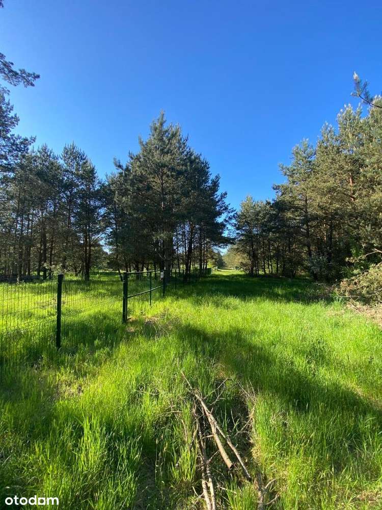 NOWA CENA!   Działka Domysłów, 5km od morza WOLIN-7