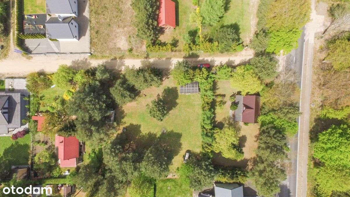 Najem całoroczny działki Lubkowo - Pełny obrazek: 4/6