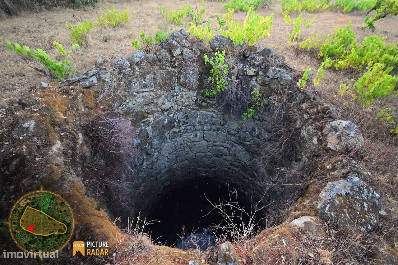 Terreno com Vinha e Poço em Granito | Salgueiro do Campo-8