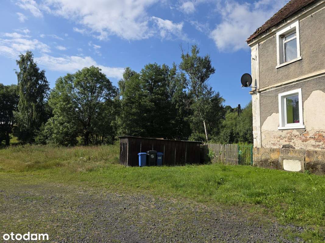 Udziały w Kamienicy oraz działka - Pełny obrazek: 4/12