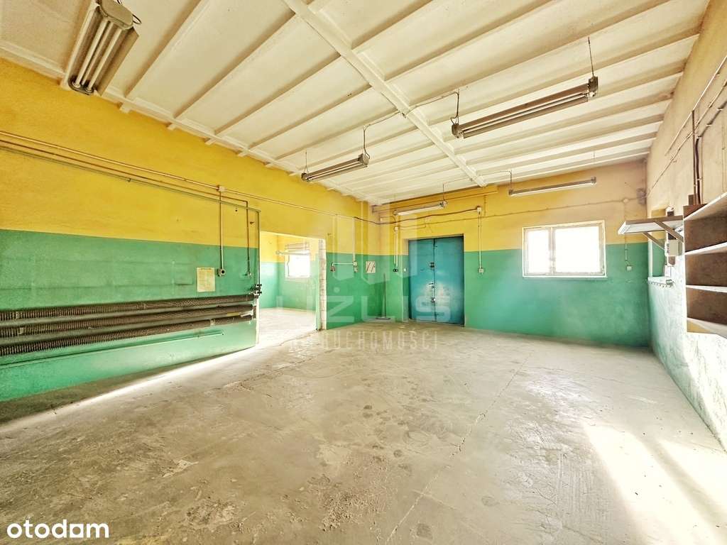 Hala magazynowo - produkcyjna - Pełny obrazek: 5/20