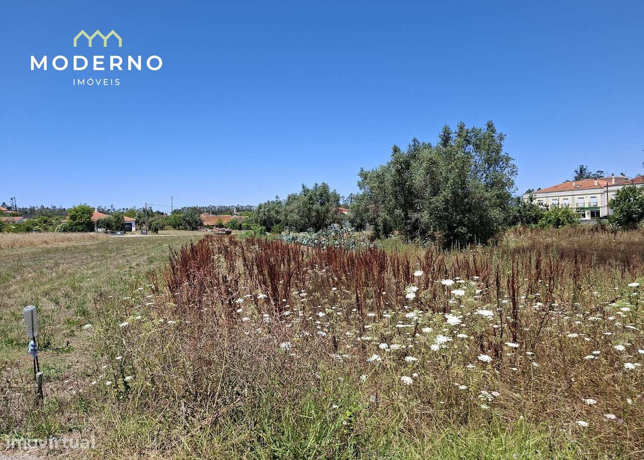 Terreno Construção – Moitas Brancas, Ilha, Pombal-9