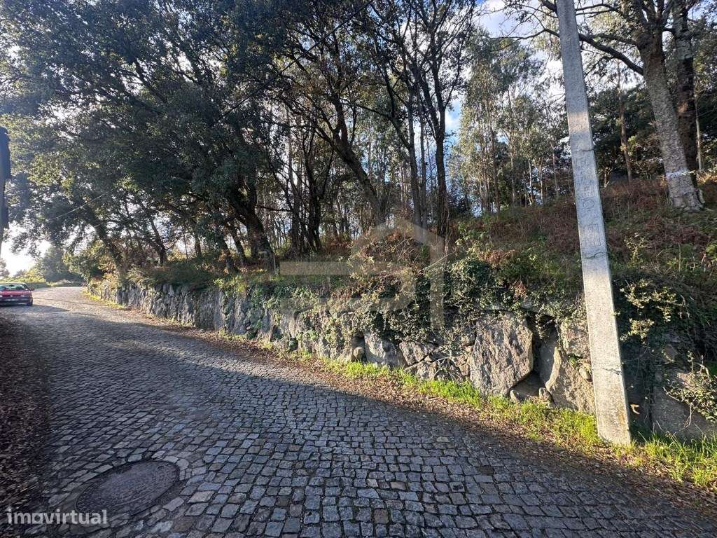 Vende-se terreno de construção com 7.000 m2.-8