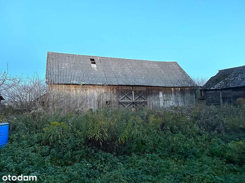 Siedlisko z działką 22a pod Lublinem - Pełny obrazek: 5/9