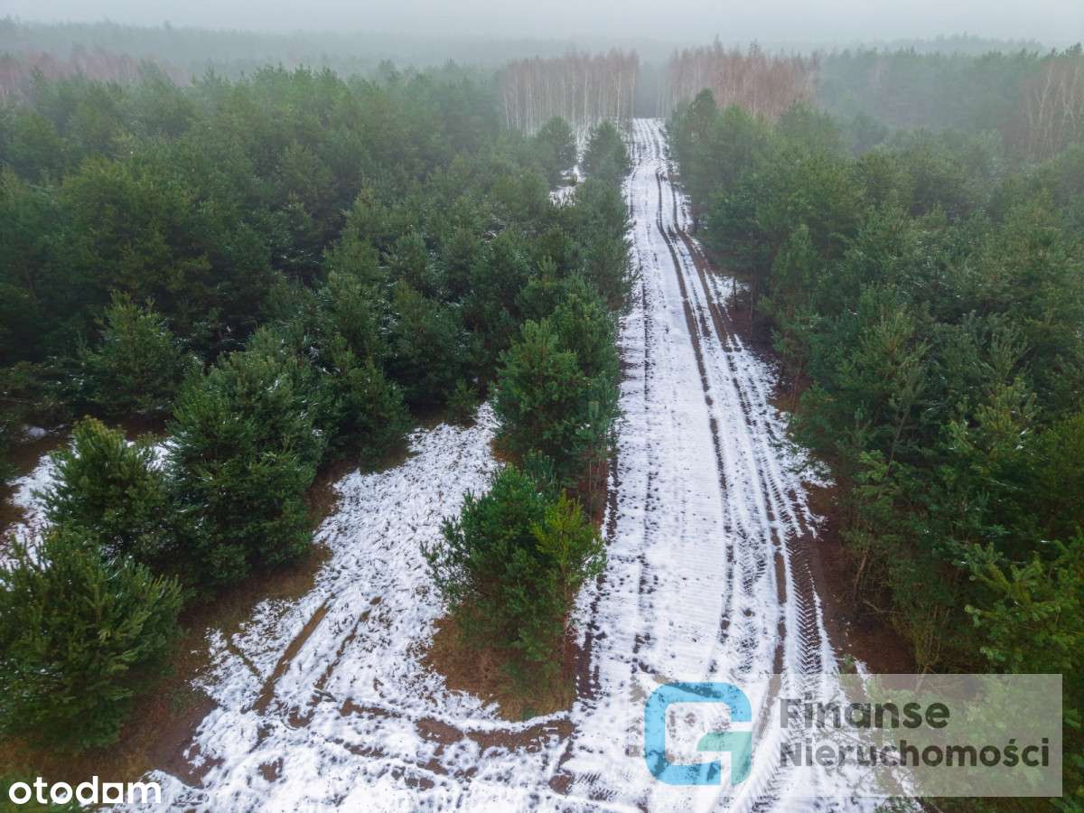 Działki budowlane po 1500 m² – Dąbrówka-7