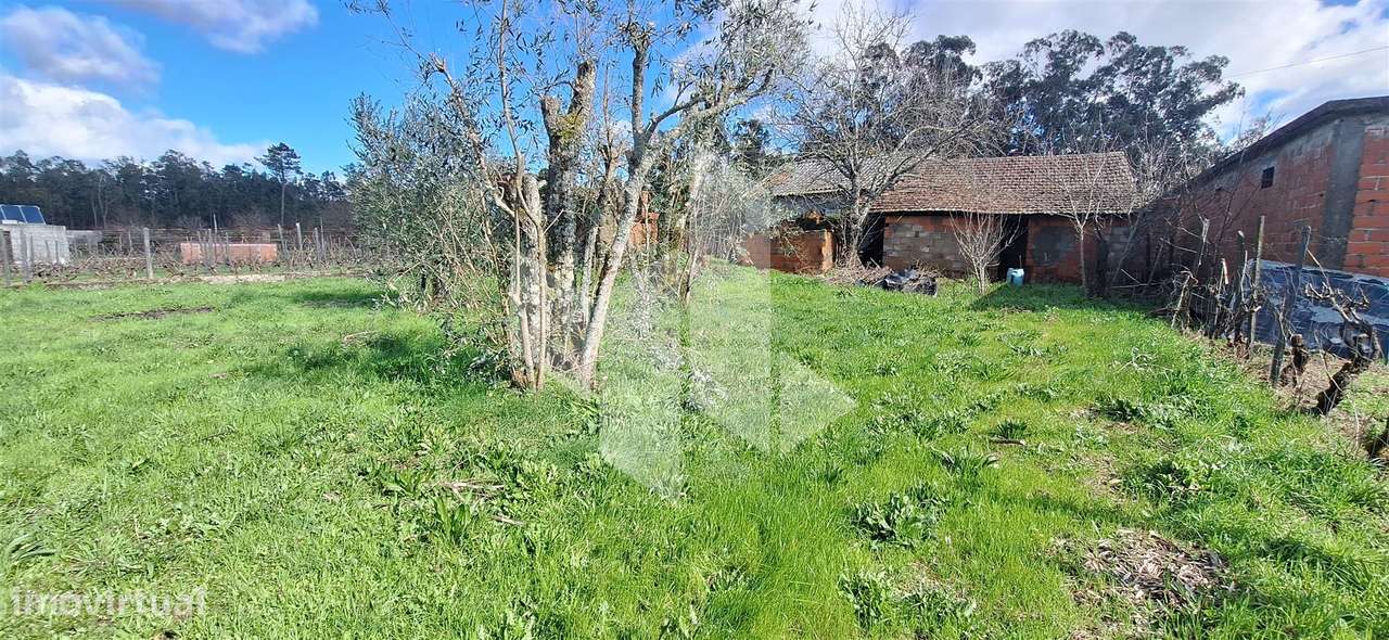 Moradia Devoluta T1 Venda em Molelos,Tondela-17