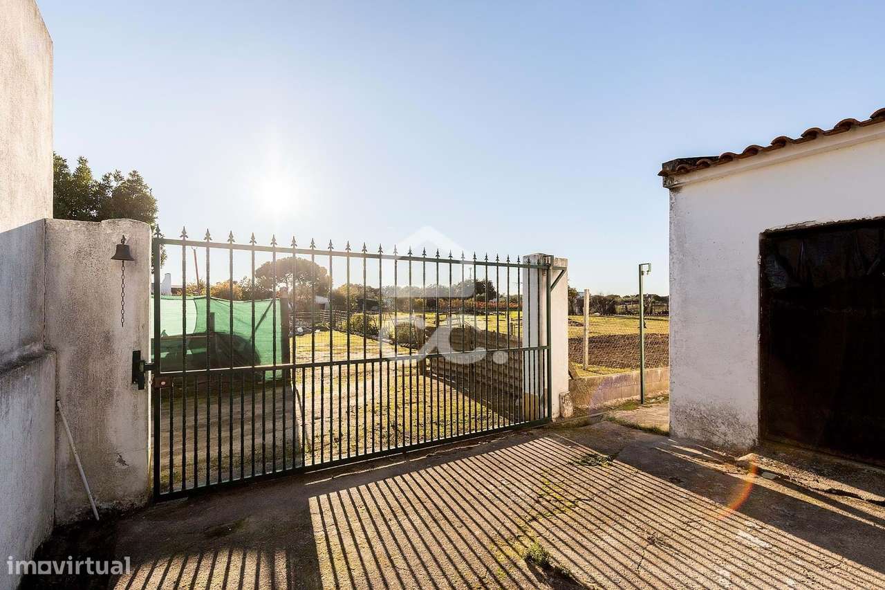 Terreno de  1.350 m² c/ Anexo de Apoio Agrícola | Canaviais, Évora-7