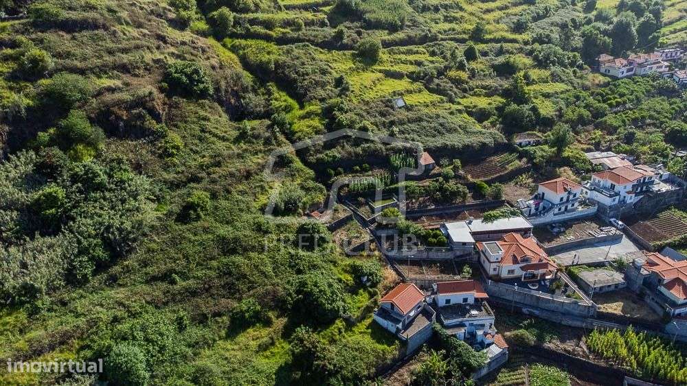 Terreno 500 m2 - Arco da Calheta-4
