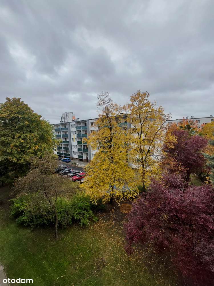 Os. Jagiellońskie 3 pokoje niezależny układ, IIIp. loggia, lokalizacja