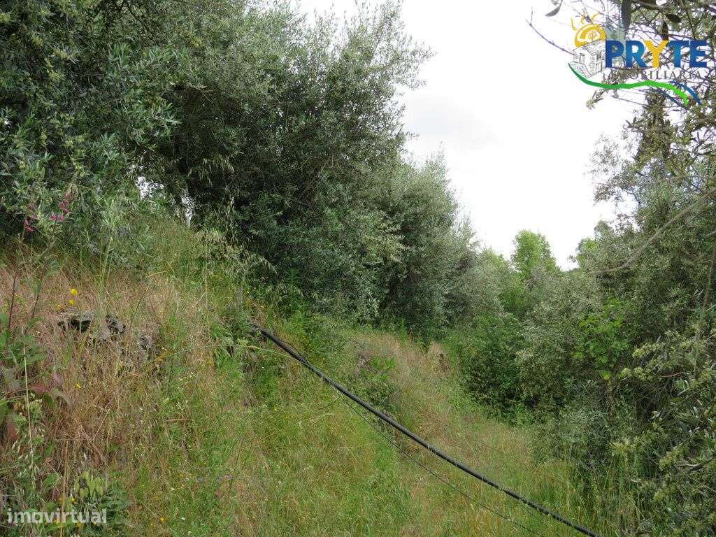 Pequena quinta a confinar com a Ribeira situada perto de Oleiros-48