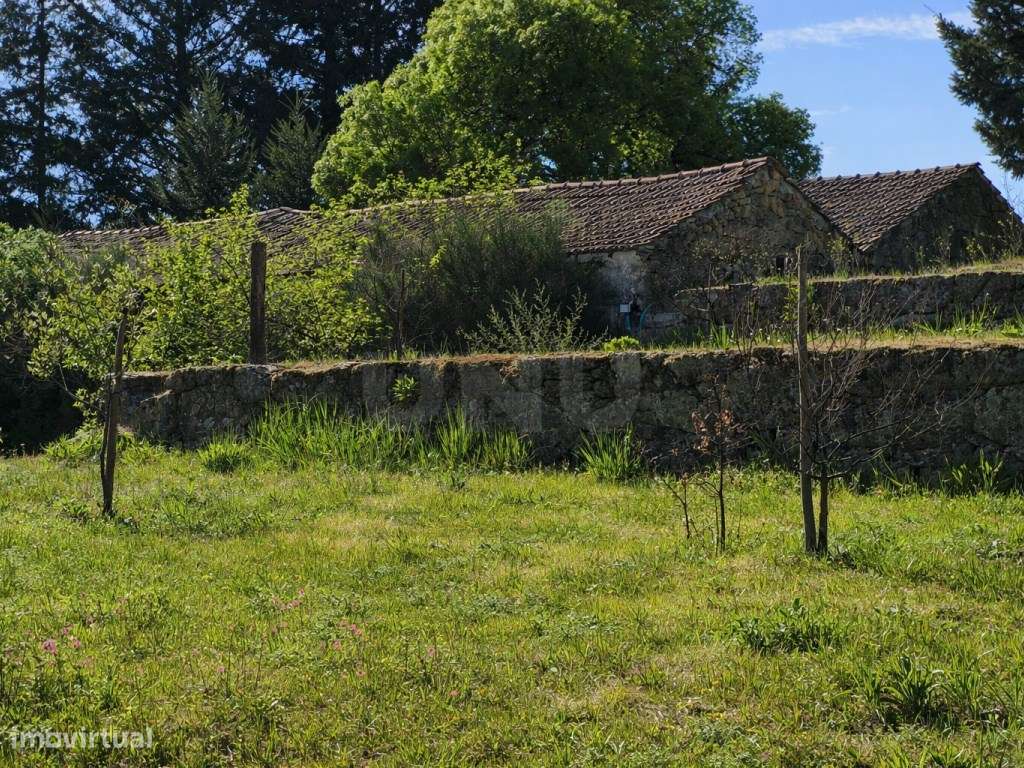 ATIVO TURÍSTICO + QUINTA DE EXCEÇÃO NA BEIRA ALTA-9