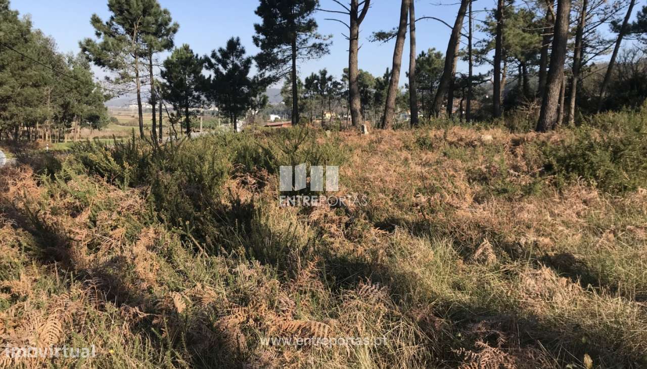 Venda de Terreno, Carreço, Viana do Castelo. - Grande imagem: 3/28