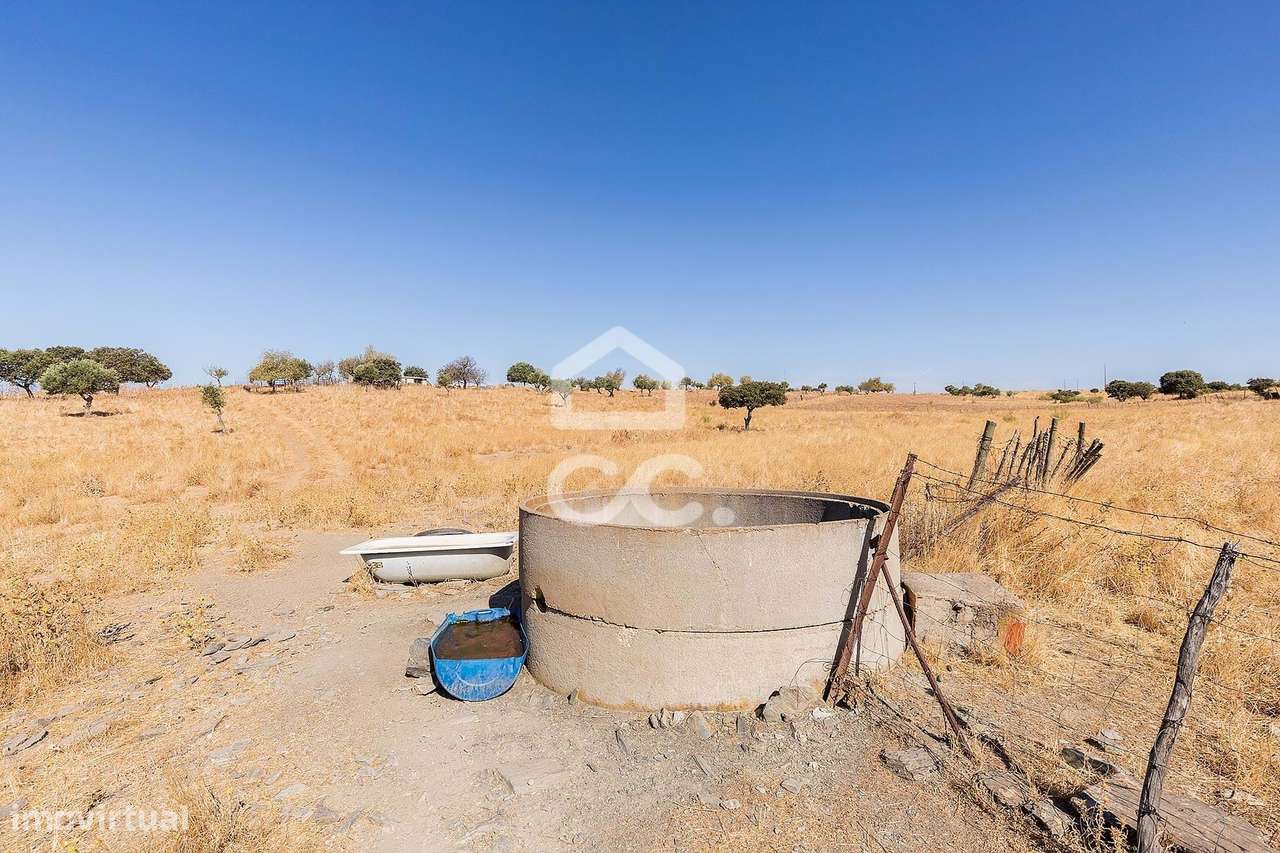 Terreno Rústico de 7,35 ha c para Exploração Agrícola | Mourão, Évora - Grande imagem: 4/45