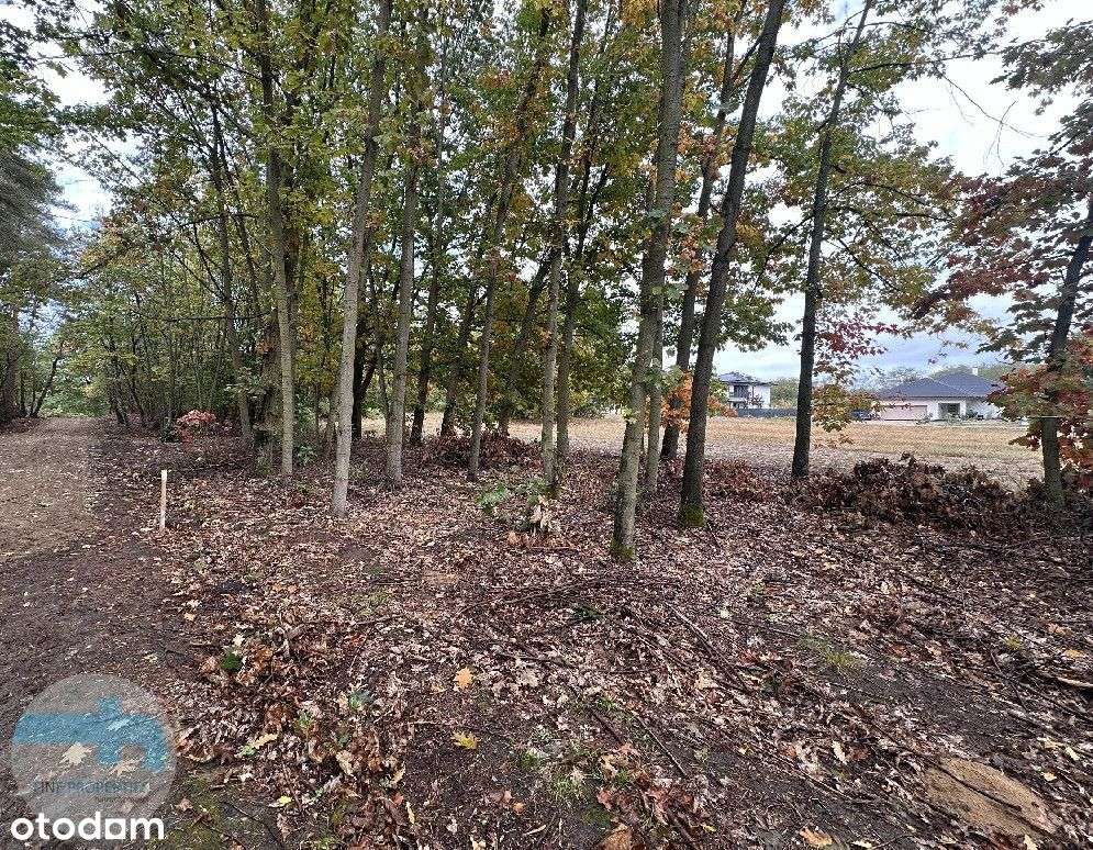 Atrakcyjna działka budowlana blisko lasu - Pełny obrazek: 5/8