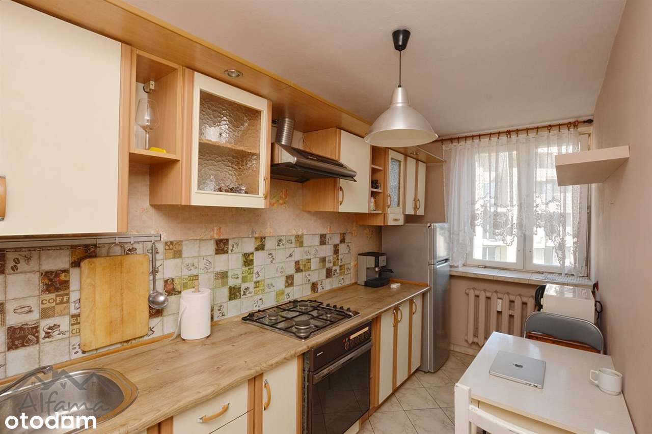 Idealne dla studentów|rozkład|Politechnika Wrocł. - Pełny obrazek: 5/12