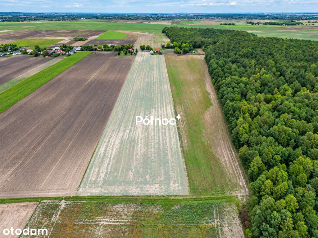 Duża działka 3,3 ha z częścią pod zabudowę – Depułtycze Królewskie-2