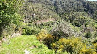 Terreno para construção em São Miguel, Santa Eufémia e Rabaçal - Grande imagem: 4/30
