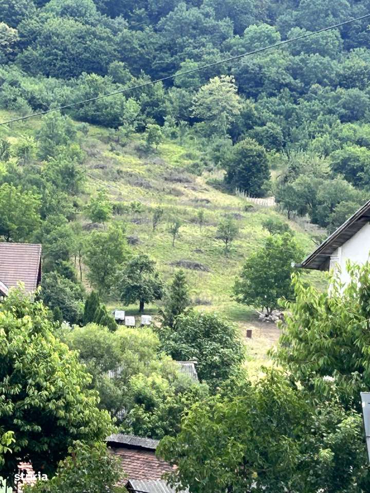 TEREN VALEA GHINZI PARCELE DE 650 MP , INTRAVILAN SI EXRAVILAN - Imagine principală: 5/5