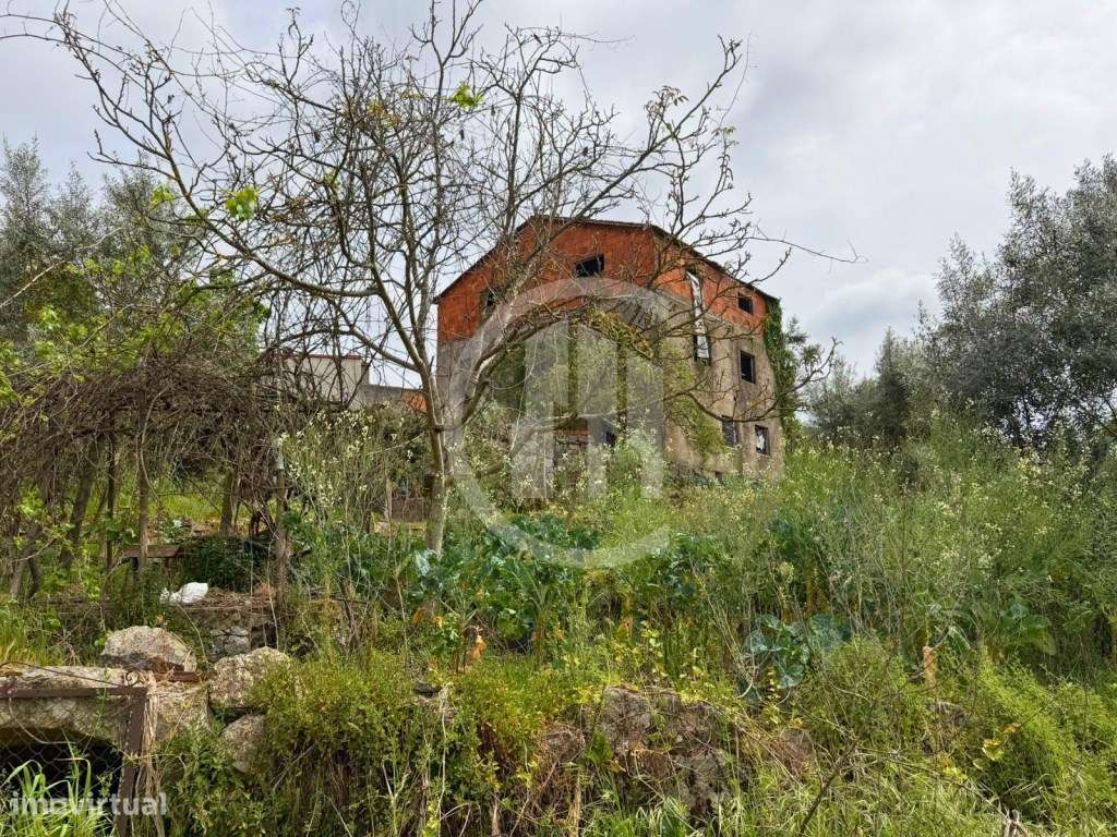 Terreno com construção - Vale da Loba, Beijós-3