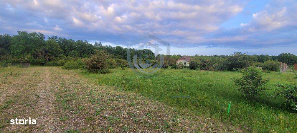 Teren intravilan in Gepiu-2