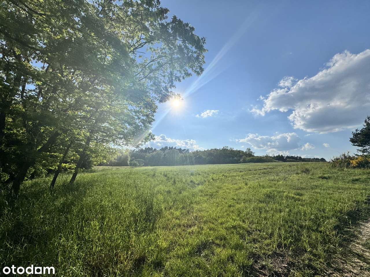 Działka  w Okuninie - Pełny obrazek: 4/5