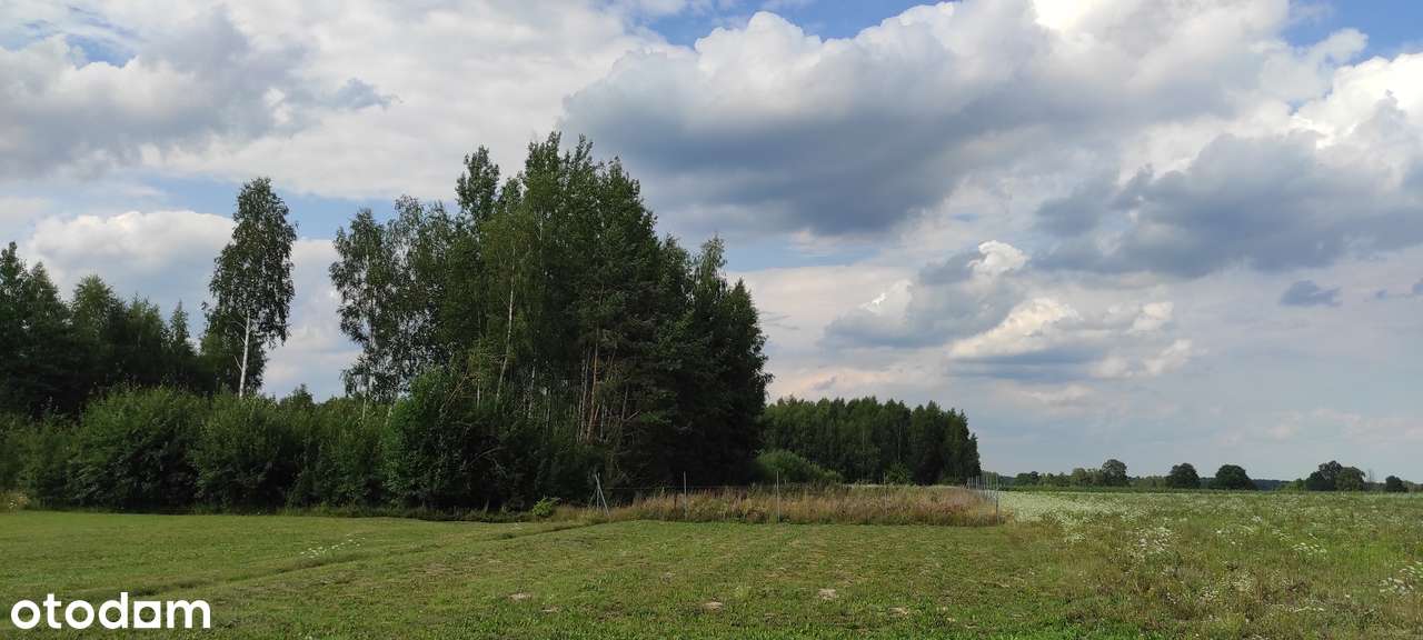 Działka w Rafałówce z warunkami zabudowy - Pełny obrazek: 3/4