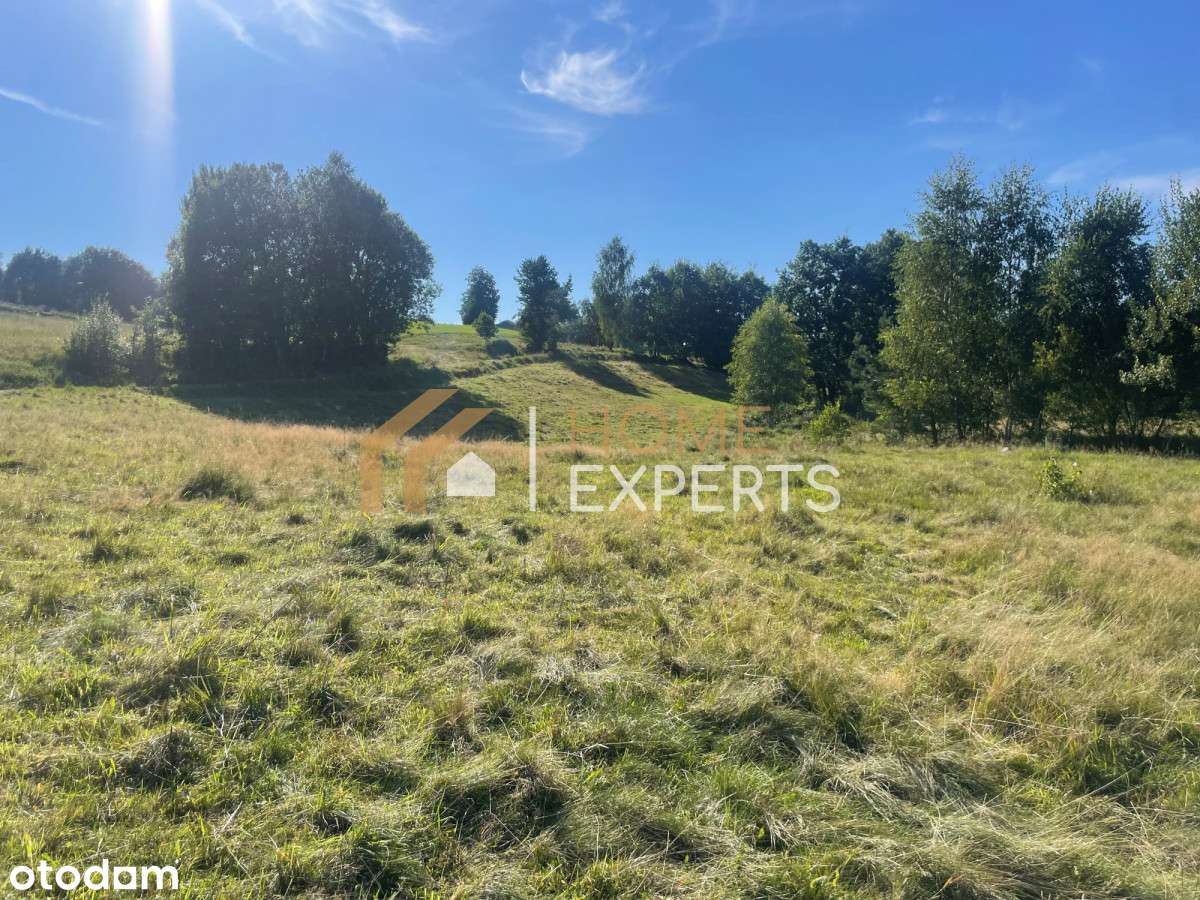 Działka nad jeziorem ! Kistowo (Sulęczyno) - Pełny obrazek: 4/20