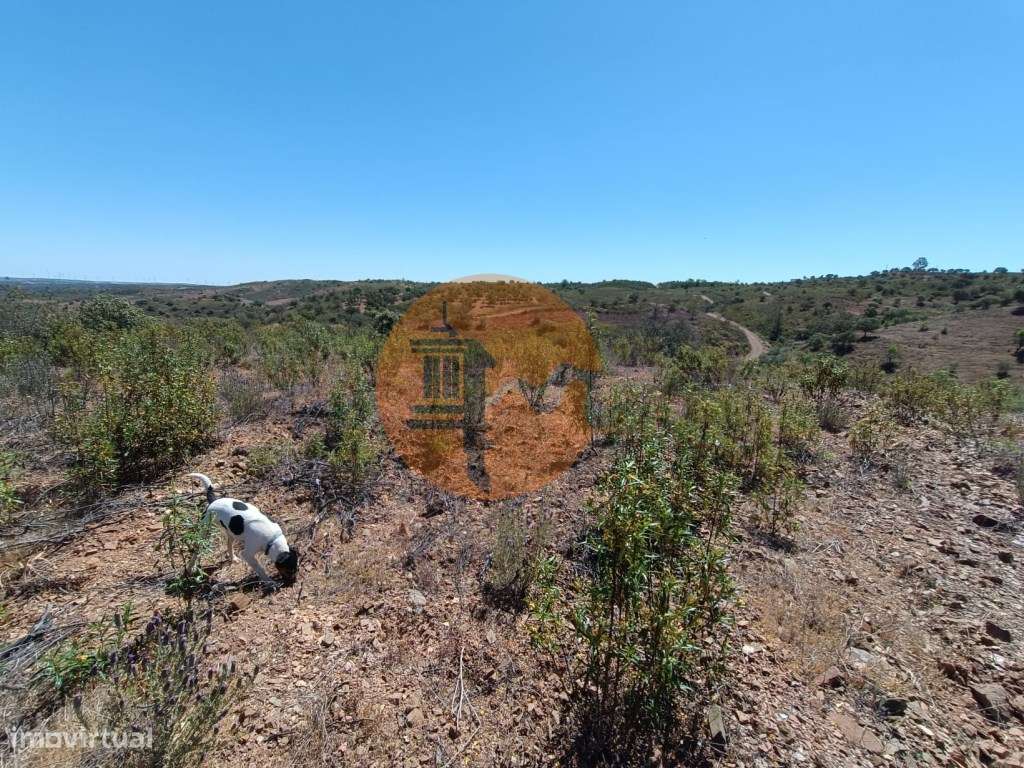 TERRENO COM 34.700 M2 - POSSIBILIDADES DE CONSTRUIR UM ARMAZEM - PR...-36