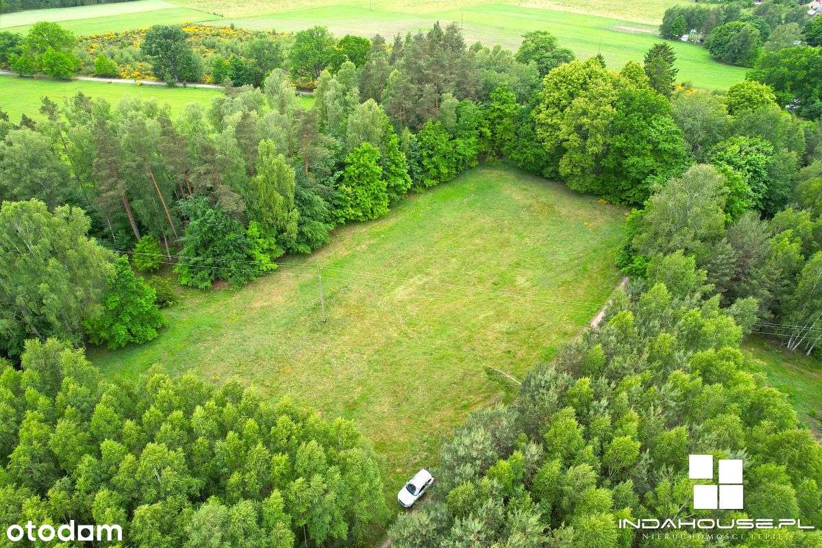 Działka budowlana z WZ, dookoła las - Pełny obrazek: 2/11