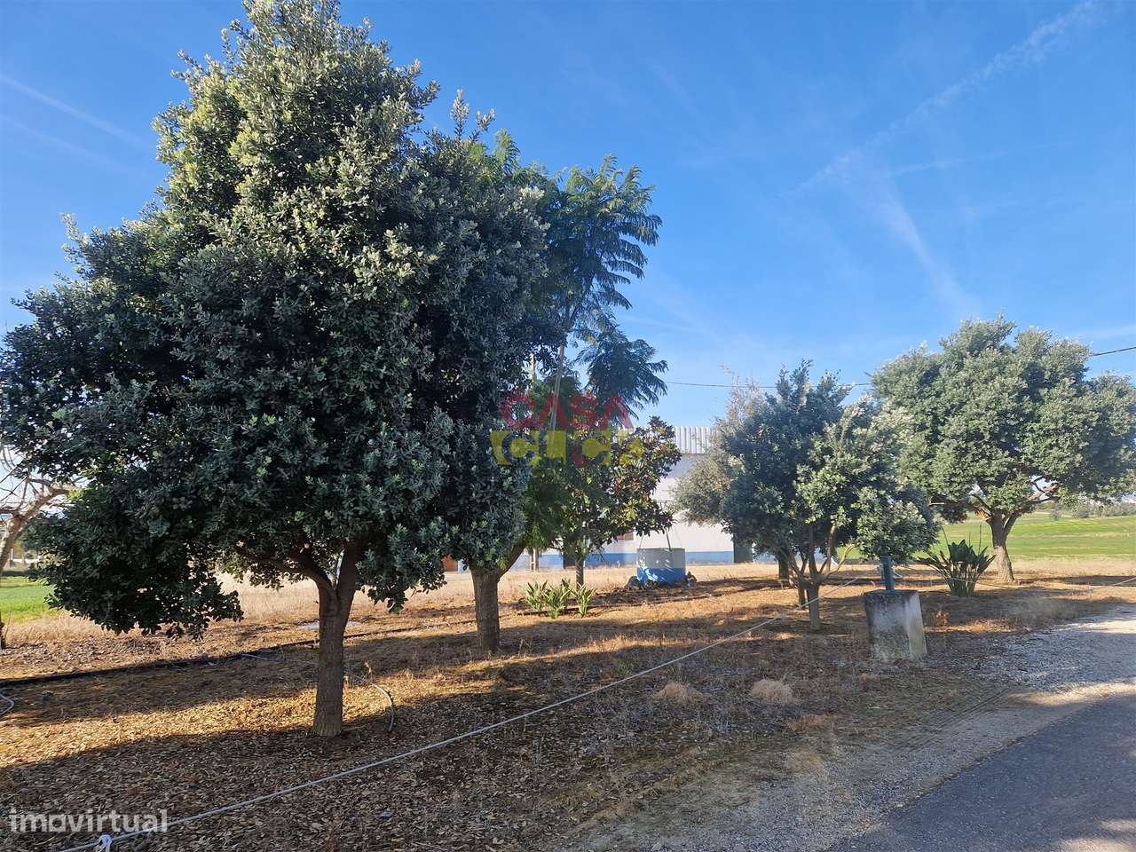 Armazém T1 Venda em Brogueira, Parceiros de Igreja e Alcorochel,Torres-20