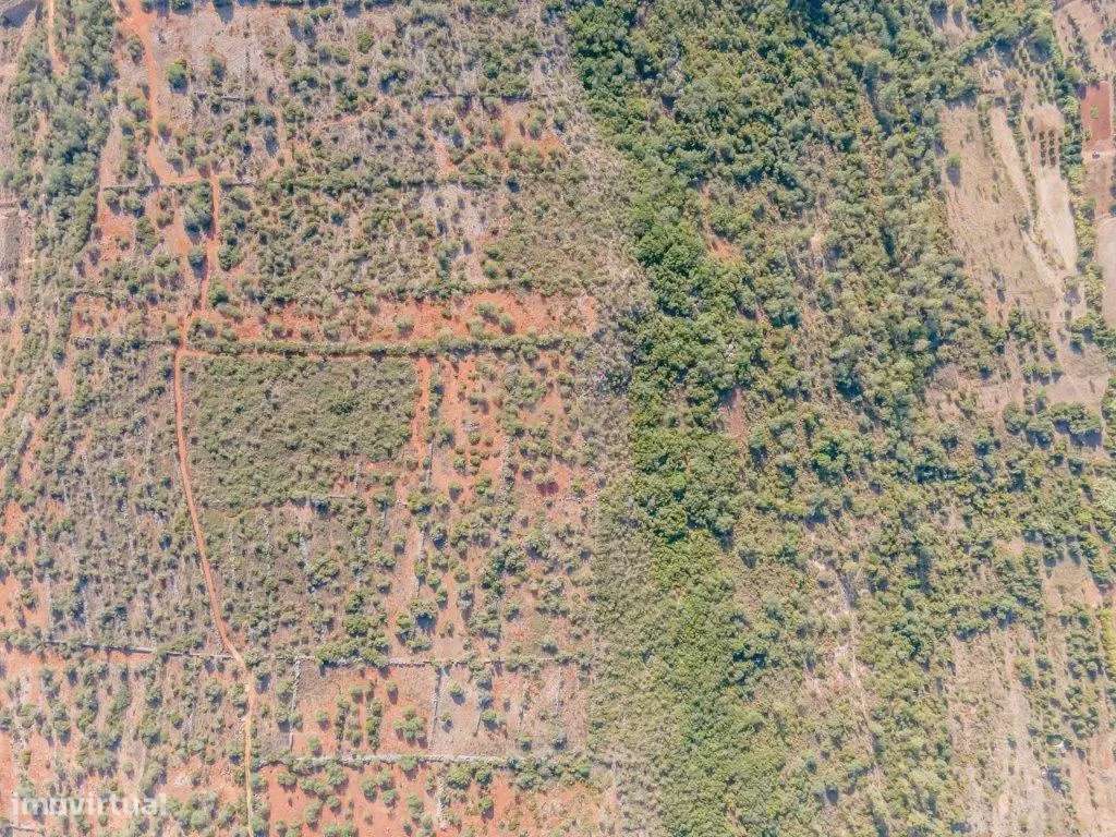 Terreno rústico com 3,8 hectares, S.B.Messines - Grande imagem: 3/8
