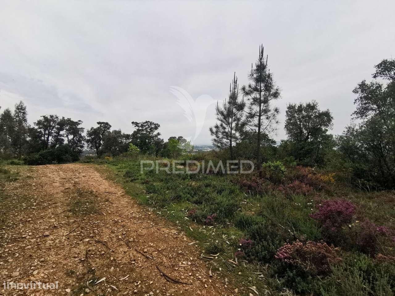 Terreno Rustico - Grande imagem: 4/30