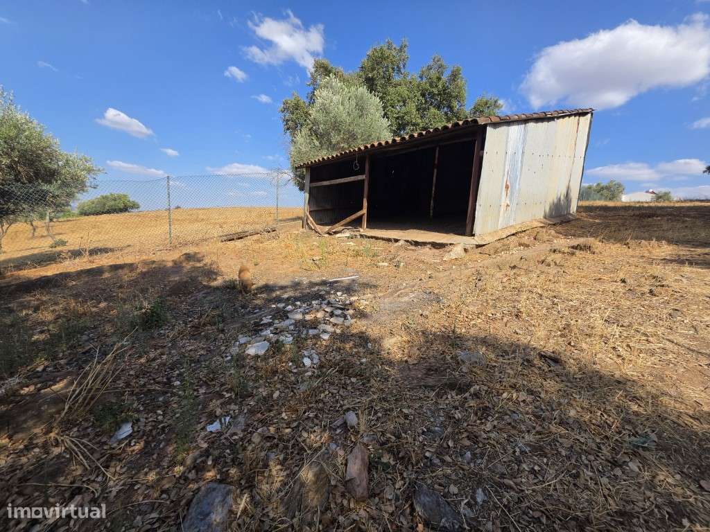 Moradia T3 em Vila Viçosa, com garagem, inserida em lote de 3500 m2-22