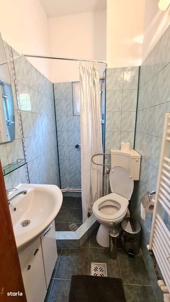 Vand vila situata pe Valea Lotrioarei-13