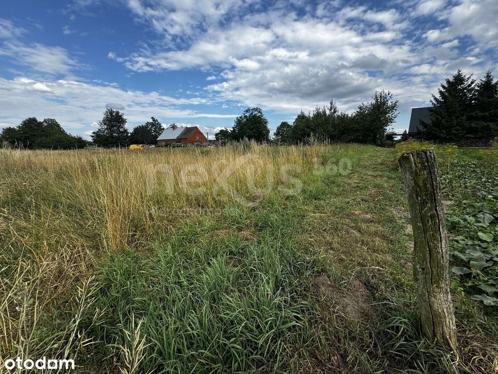 Działka w cichej okolicy z dużym potencjałem - Pełny obrazek: 5/10
