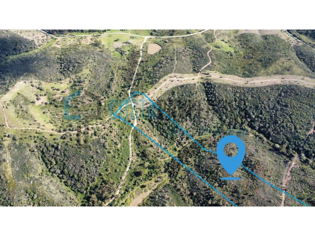 Terreno Rústico de 43.500 m² entre Aljezur e Monchique - Natureza e... - Grande imagem: 2/43