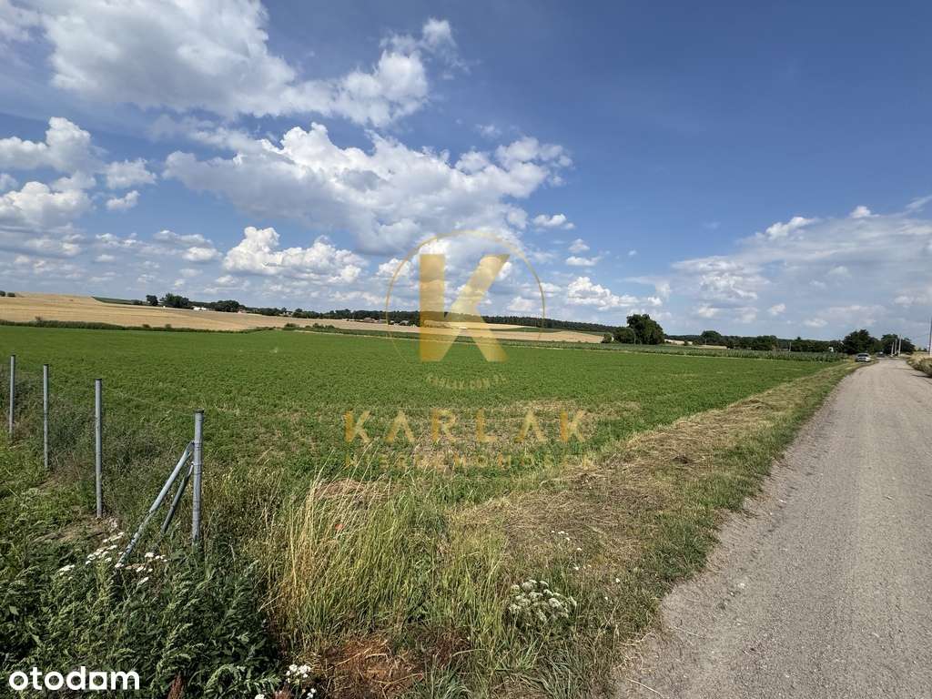 Działka w Lubiatowie (droga na Kotowo) Nowa Cena!-5