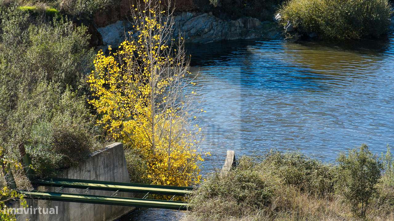 Project Green Valley-2