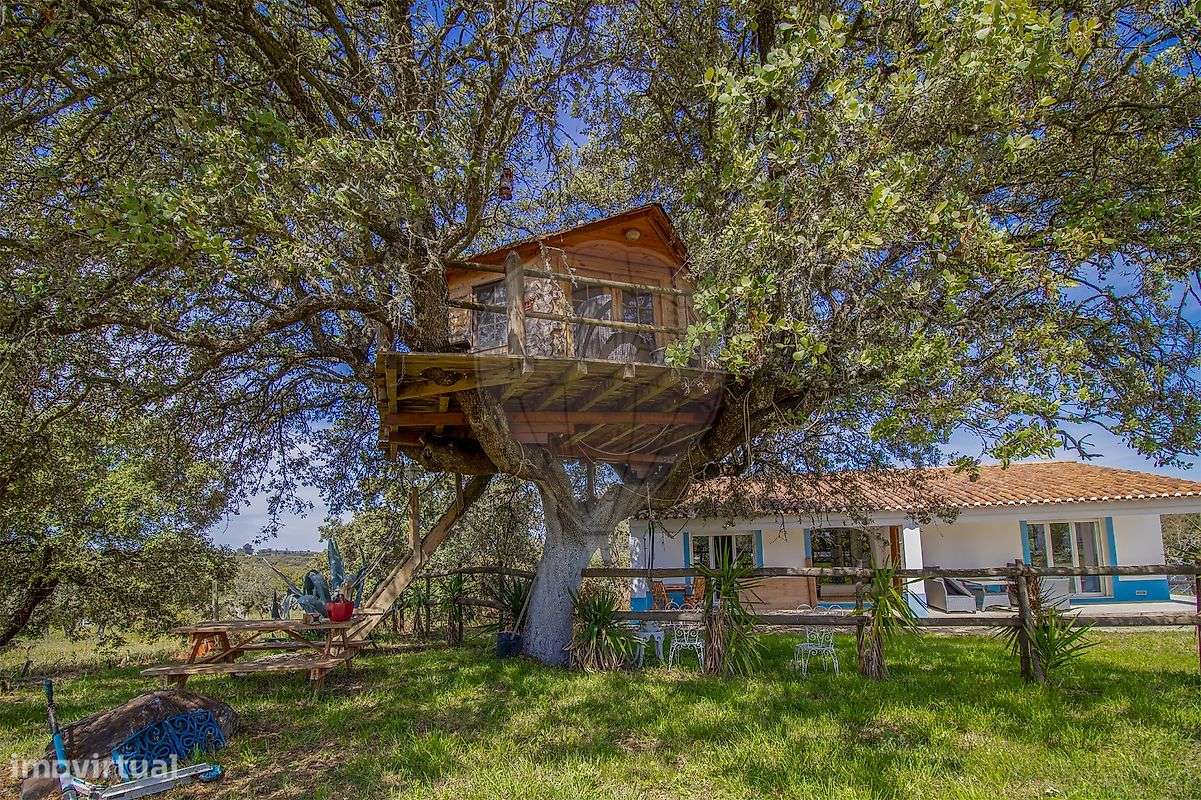 Quinta T6 para venda - Grande imagem: 3/29