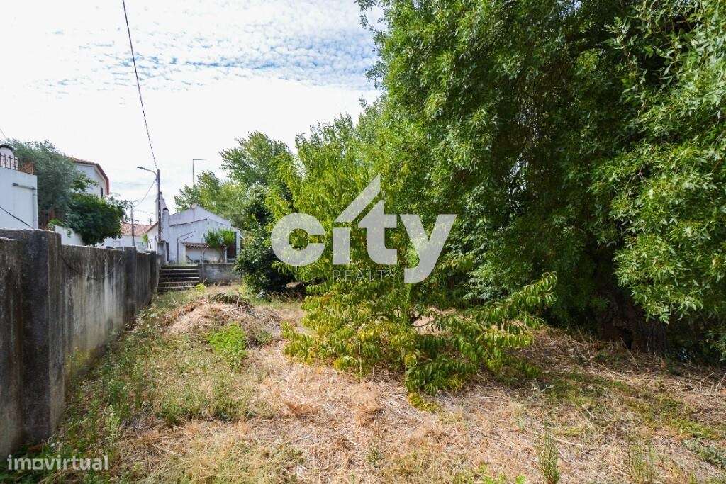 Refúgio Rural junto à ribeira- Moradia em Pisão - Avis-22