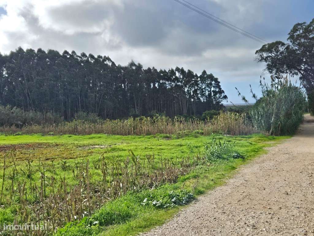 Terreno junto à entrada do Eco resort Bukubaki - Grande imagem: 4/6